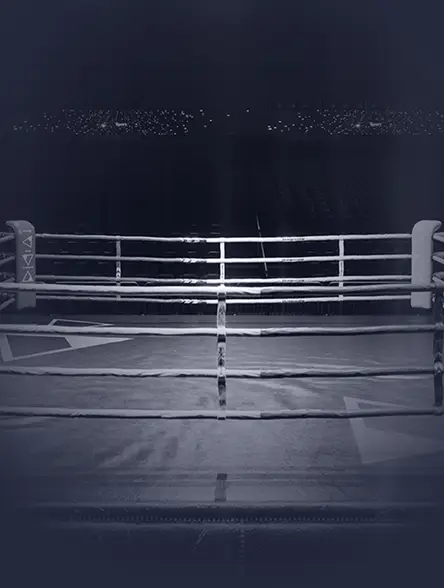 Win.Bet: Boxe